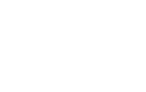 SS logo